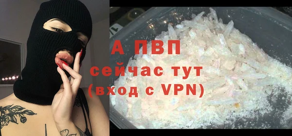 spice Елизово