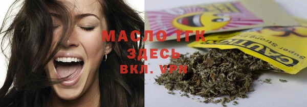 крисы Елабуга