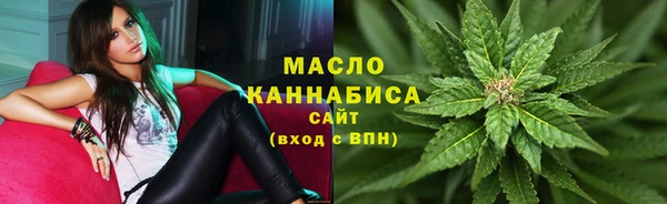 крисы Елабуга