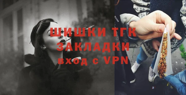 мдпв Дмитриев