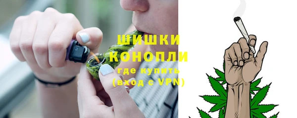 мдпв Дмитриев