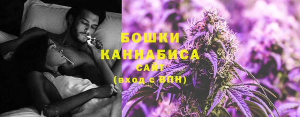 мдпв Дмитриев