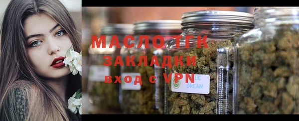 крисы Елабуга